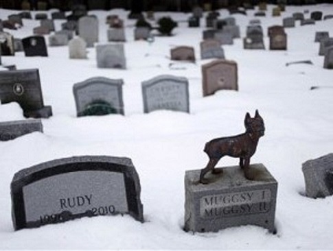 as autoridades han afinado las normas que permiten a los cementerios de mascotas aceptar los restos cremados de humanos.