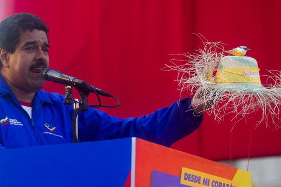 El pajarito se hizo famoso después de que Maduro asegurara que Chávez se le había aparecido bajo esa forma.