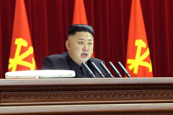 "Es demasiado joven e inexperto. Está luchando para conseguir el control completo sobre los militares y ganar su lealtad", dijo Kim Hyun-hee.