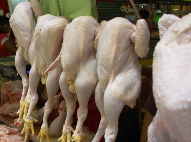 En La Romana venden pollos aumentándoles peso y volumen con inyección de agua.