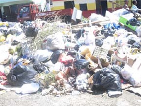 El cúmulo de basura en el Distrito Nacional es tan grande que los infectólogos advierten que podría desencadenar brotes de enfermedades como cólera, dengue y lectospirosis.