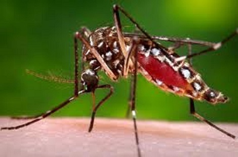 Al decir de los moradores de La Canela, la causa de los casos de dengue se debe a la contaminación provocada por una cañada y un canal de riego que cruzan por gran parte de la población. 