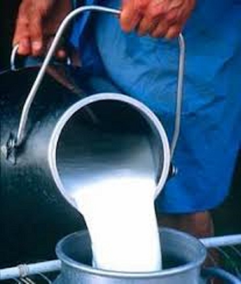 Pedro Brache, lamentó este miércoles que en el país solo de produzca el 65 por ciento de la leche que se consume