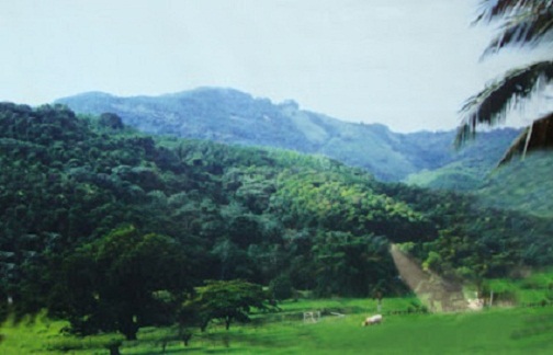 El informe, denominado “Información técnica que descalifica a Loma Miranda como parque nacional”, presenta argumentos legales, hidrológicos y de biodiversidad que “demuestran que es irrazonable pretender convertir en zona en un área protegida”.