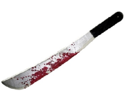 Para matar a las dos mujeres Díaz utilizó un machete de 16 pulgadas de largo. 