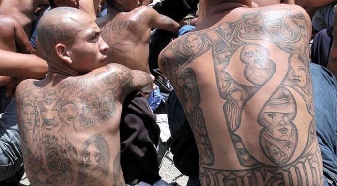 Autoridades neoyorquinas arrestan cien pandilleros de Mara Salvatrucha