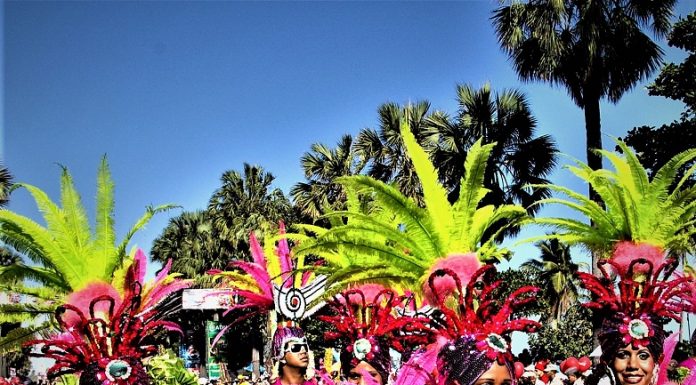 Consideraciones Históricas Sobre el Desfile Nacional de Carnaval
