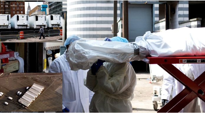 Más de 50 morgues móviles con cientos de cadáveres en macabro espectáculo en un estacionamiento de Brooklyn