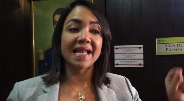 Asistente personal de Abinader, Eilyn Beltrán, tilda de “doble moral” a Faride por posición asumida sobre Presupuesto