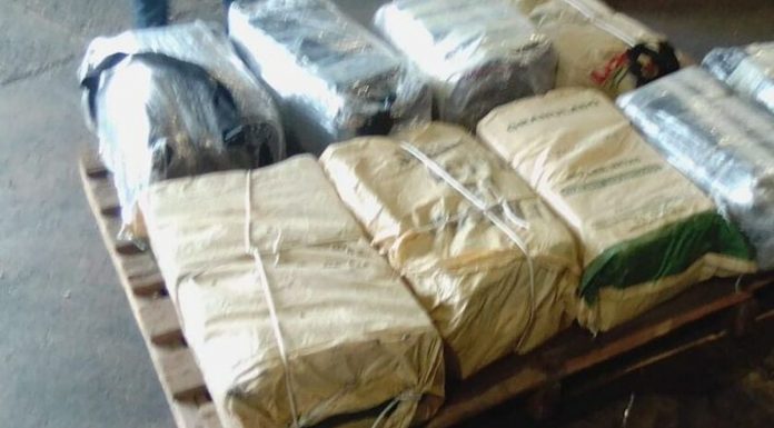 La Droga es Maldición