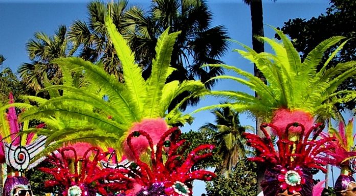 El Papel del Carnaval en Dominicana y la Pandemia
