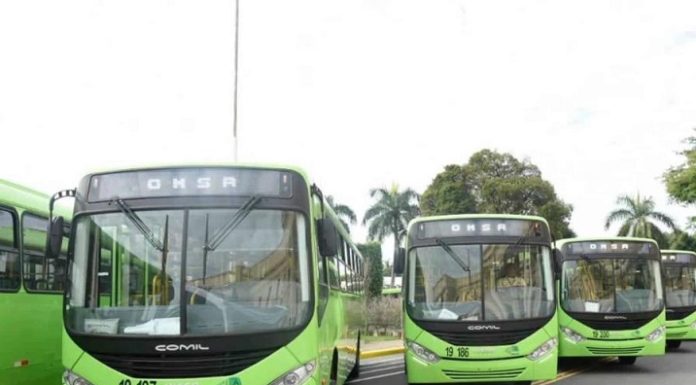 Pasajeros de la Omsa tendrán Wifi en cada autobús