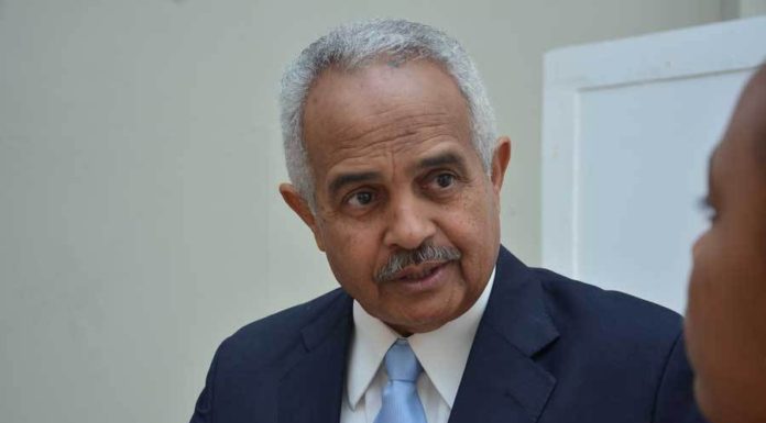 Osmar Benítez dice RD no necesita más haitianos en la labor agrícola
