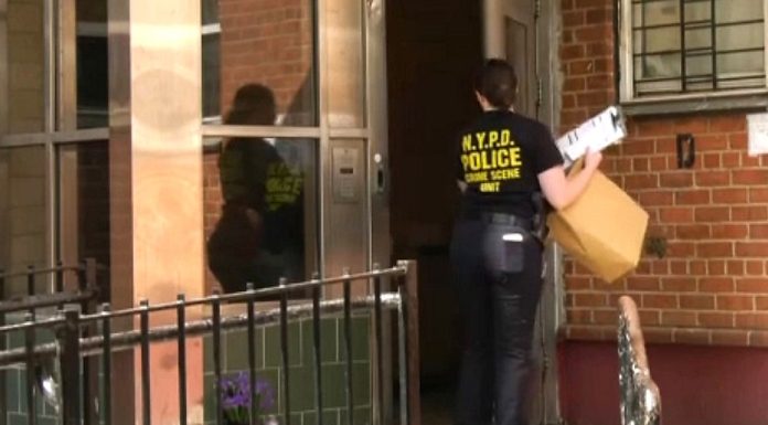Una dominicana fue asesinada a puñaladas en apartamento de Harlem por ex novio en presencia de tres hijos
