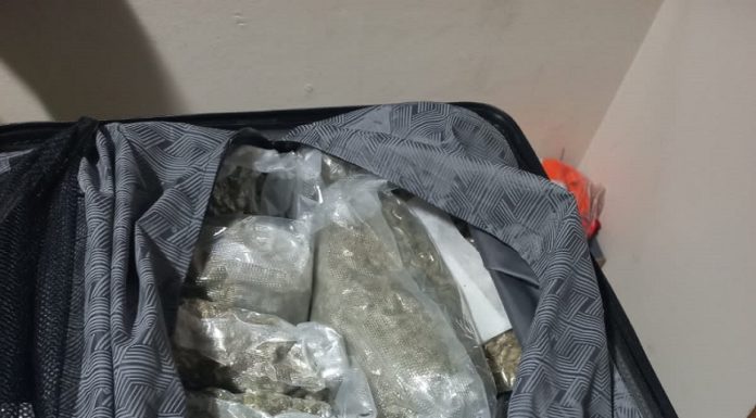 Detienen mujer con 45 paquetes de presunta marihuana y otras sustancias en el AILA