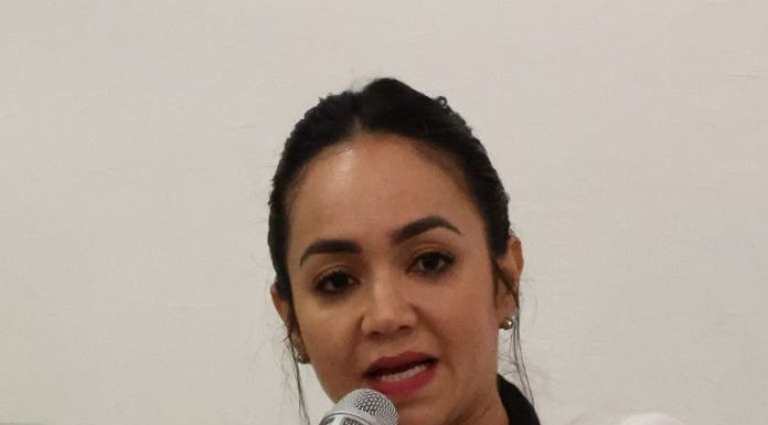 Faride Raful: «Yo quería continuar como senadora»