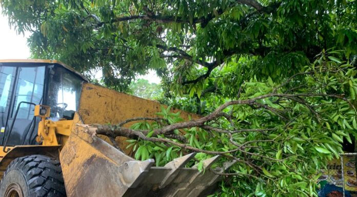 Alcaldía de Salcedo lidera rápida recuperación tras devastador tornado