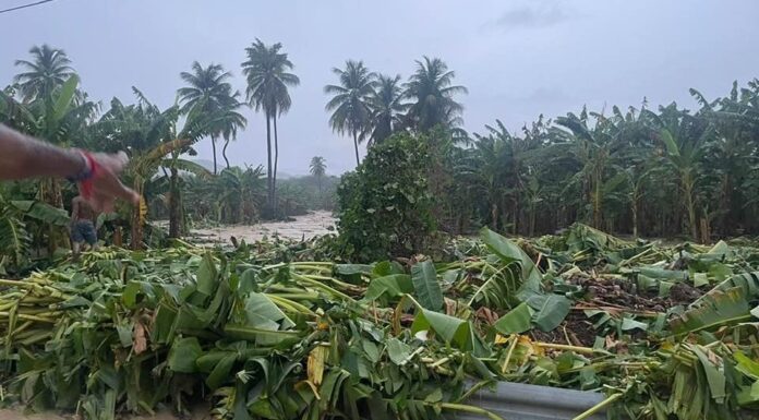 Lluvias desbordan ríos y ocasionan severos daños en Bahoruco
