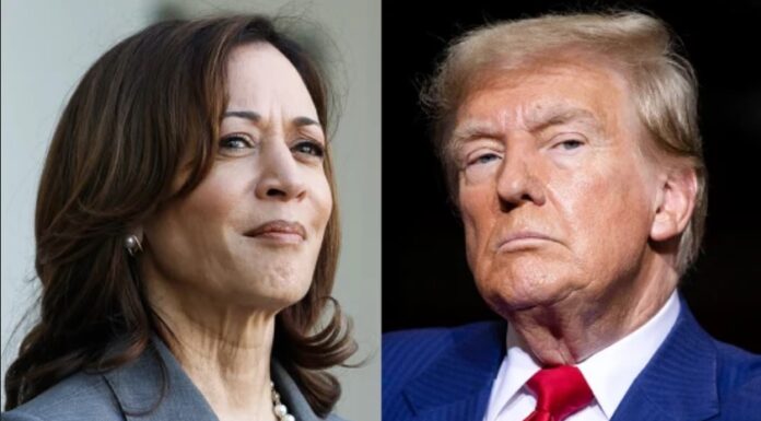 Harris llama al voto joven; Trump se presenta protector las mujeres