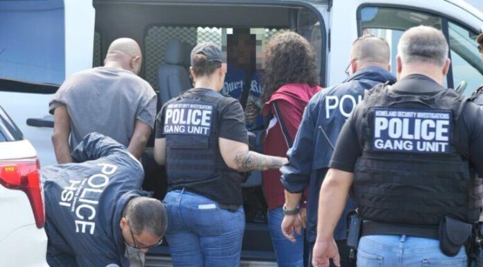 PLD critica «flojera» PRM y sus diputados frente abusos ICE