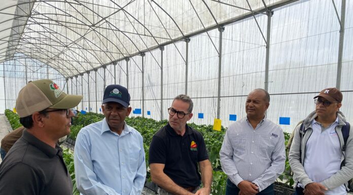 Agricultura promueve uso insectos benéficos para eliminar plagas endémicas en Ocoa