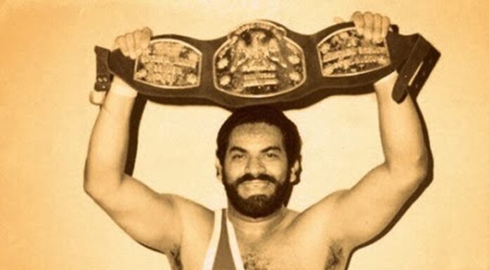 Los Palmeros y la Sorpresa de la lucha libre Profesional