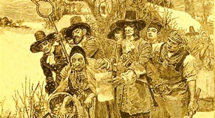 Las Brujas No Son Las Únicas Que Vuelan