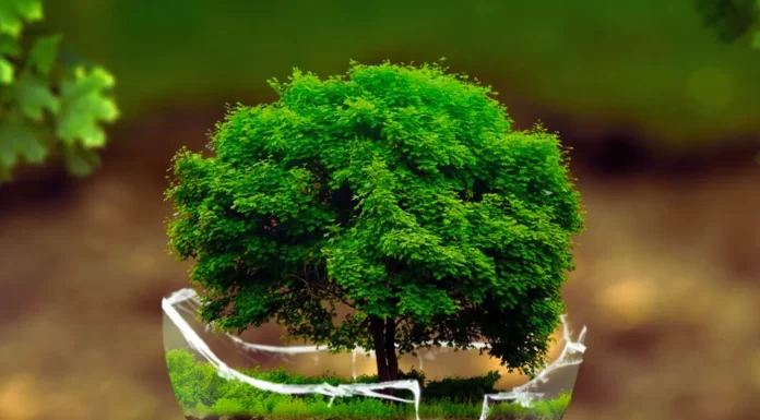 La Red Socioambiental Nacional Llama a Marchar el 19 Oct. en Defensa del Agua, la Vida y la Soberanía Alimenticia