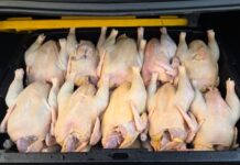 Inespre inicia venta más de un millón libras de pollo a 55 pesos