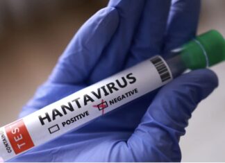 OMS: Hantavirus sólo se transmite por contacto estrecho, con posible exposición a saliva