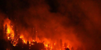 Donald Trump culpa a Canadá de los incendios forestales