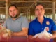 Productores avícolas aseguran estar al borde de la quiebra por sobreproducción e importaciones